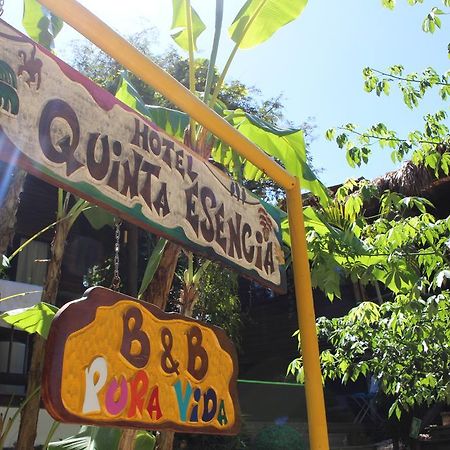 Bed and Breakfast Quinta Esencia Brasilito Exterior foto