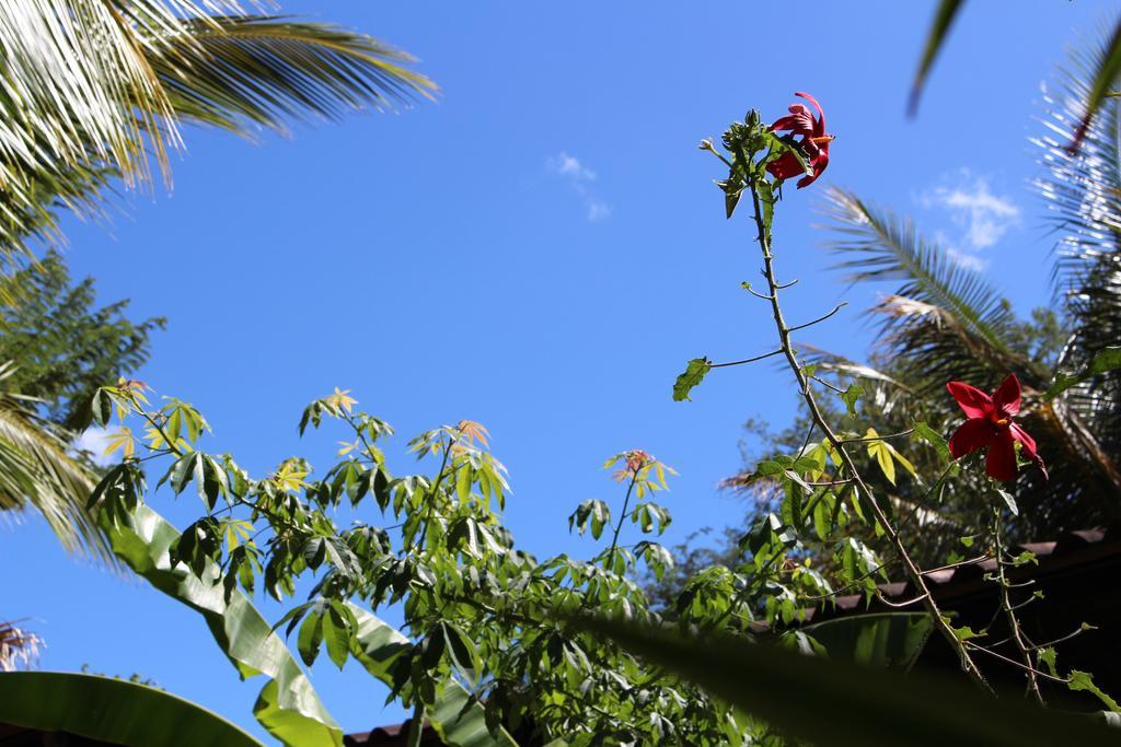 Bed and Breakfast Quinta Esencia Brasilito Exterior foto